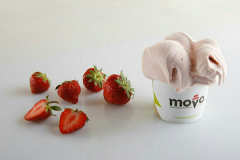 movo-gelatoô,׬Ǯ