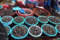 ��̨�����˳Ժ���ȥ�� ��̨�Ժ��ʹ���