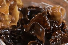 ľ����ô���� ľ���Ĵ�������