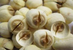 ����ʳ���� �����ܻ�ӭ����ʳ����Щ