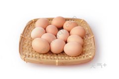 ���������Ų��� ������δ��