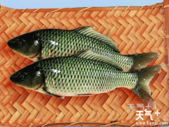 �й��Ĵ����� ��óԵĵ������а�