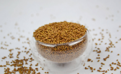 �����˷Ѷ��� ����������