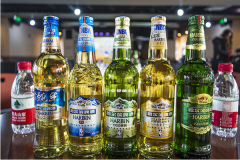 ������ơ�ƴ������˶���Ǯ