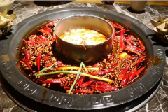 �������Ƭ���������