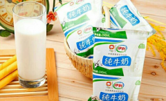 ��������������ʲô����