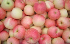 ƻ�������̼��˷Ѷ���