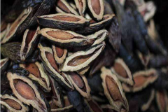 �����ܴ�����Ҫ����Ǯ