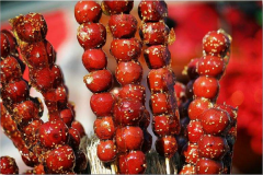 ���Ǻ�«������ô��