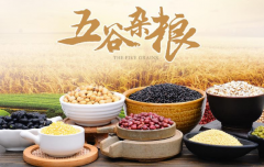 ����������˵���ô��