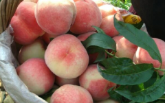 һ����ũˮ����ô����