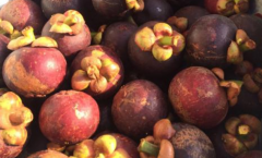 ����ˮ��������μ��� ���������ô��