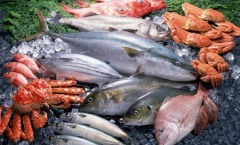 ��������Ӫ����ô��