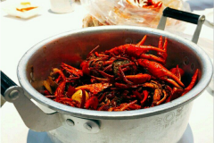 С��Ϻ���˵��ļҺ� ��ο�һ��С��Ϻ��