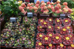 ����ˮ�����˷Ѽ��������� ��μ���