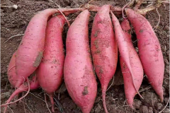 �������ؼ��˷Ѷ��� ��������