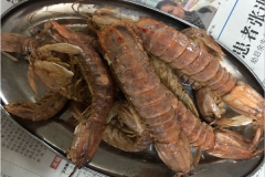 �I��ʿ����˷Ѷ��� ��������