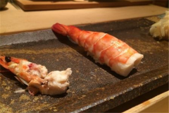 sushi˾֪ sushi˾˷Ѷ